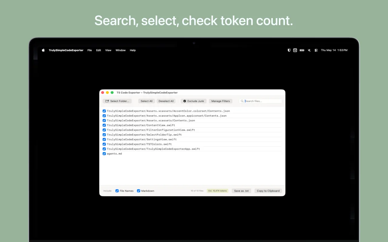 Truly Simple Code Exporter screenshot 2