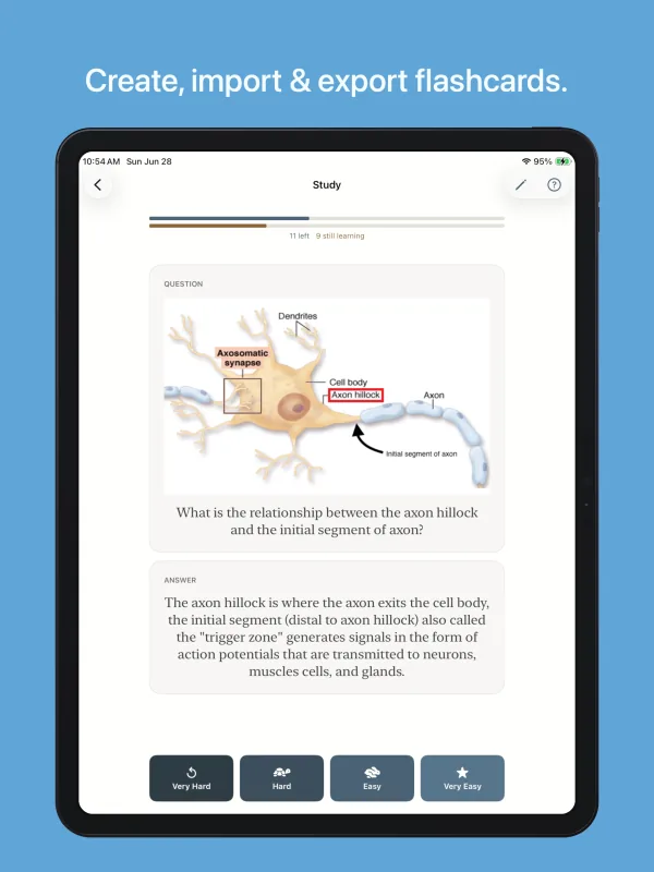 Truly Simple Flashcards iPad screenshot 1