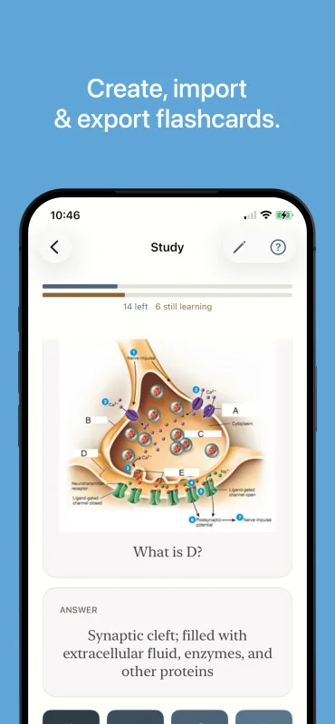 Truly Simple Flashcards iOS screenshot 1