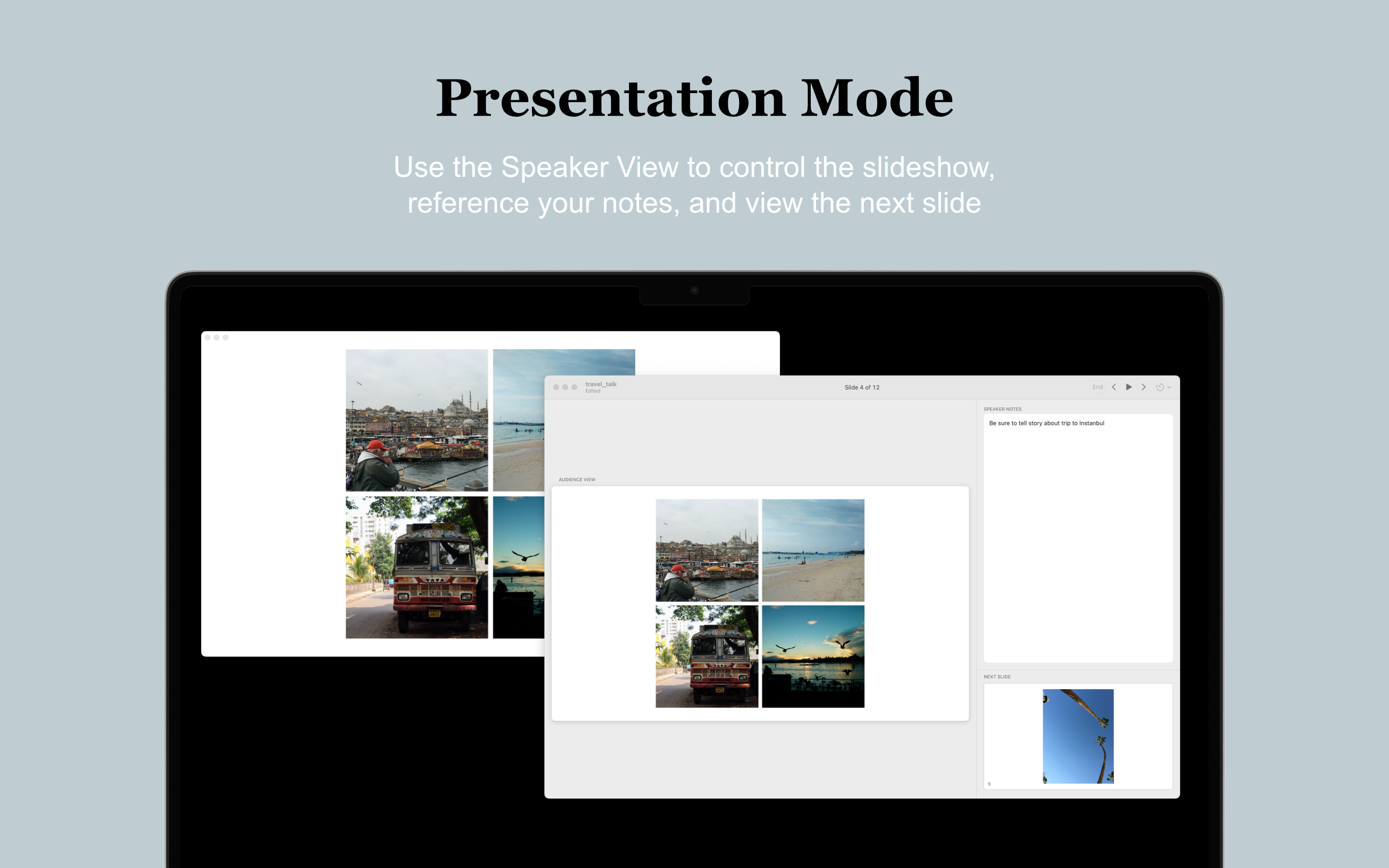 Trulys Simple Slide Deck MacOS screenshot 3